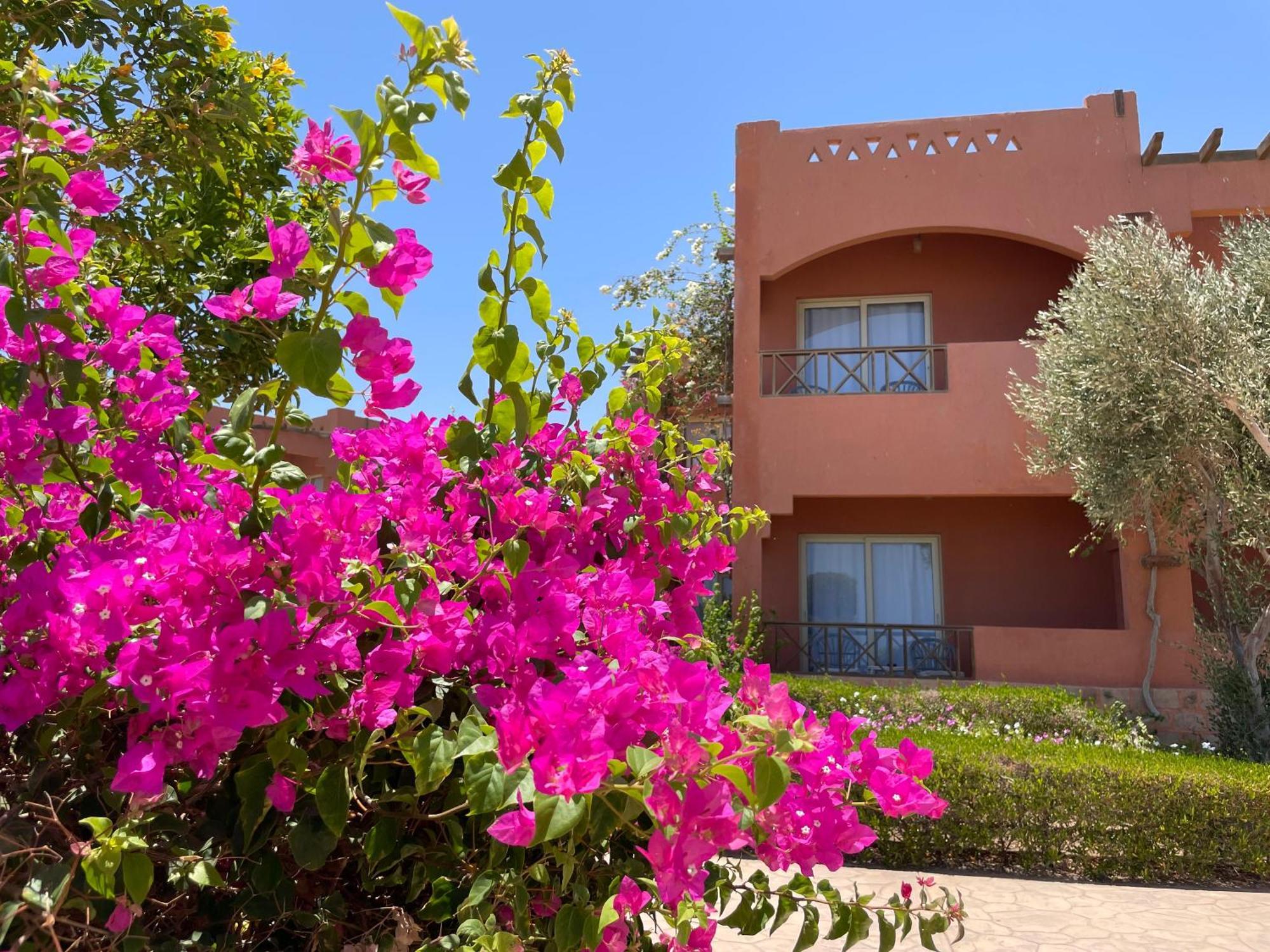 Soulotel Emerald Resort & Spa Marsa Alam Eksteriør billede